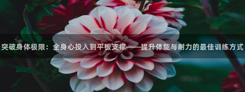77体育app下载官网