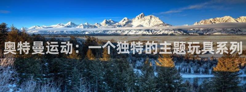 77体育官网
