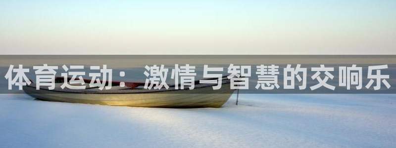 77体育官网