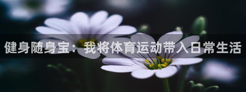77体育app下载官网