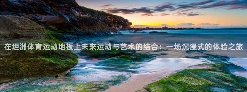 77体育官网