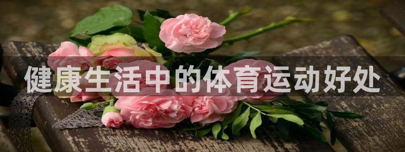 77体育官网