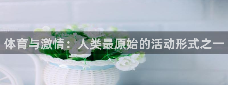77体育官网