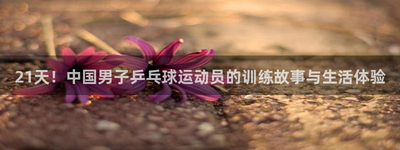 77体育app下载官网