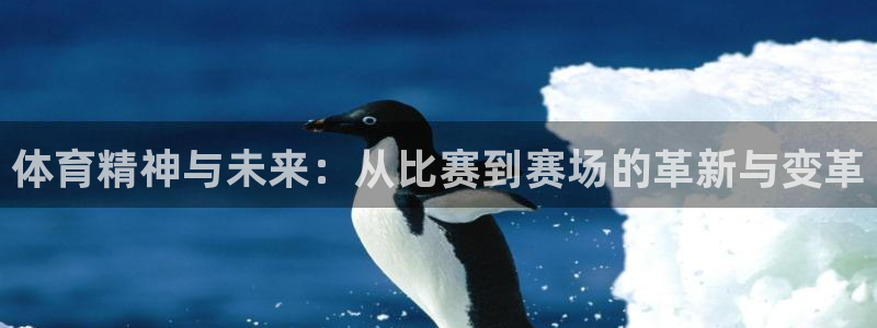 77体育app下载官网