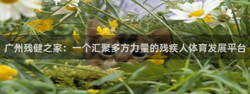 77体育