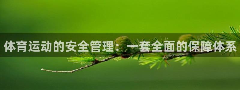 77体育官网
