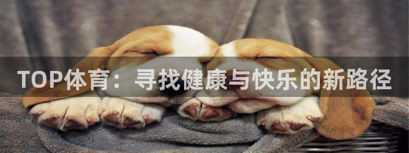77体育app下载官网